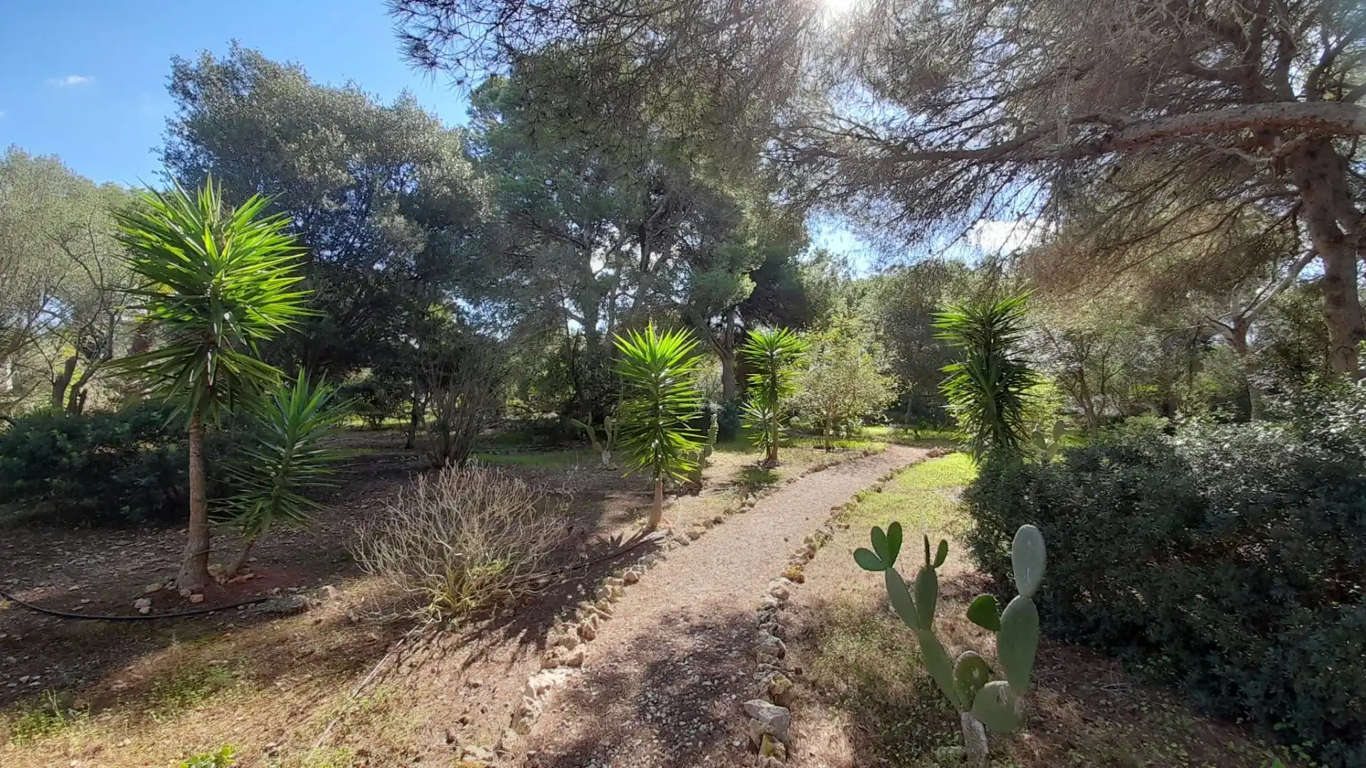 House with pool for sale in Sant Lluís - S'Ullestrar - Torret, imagen 19