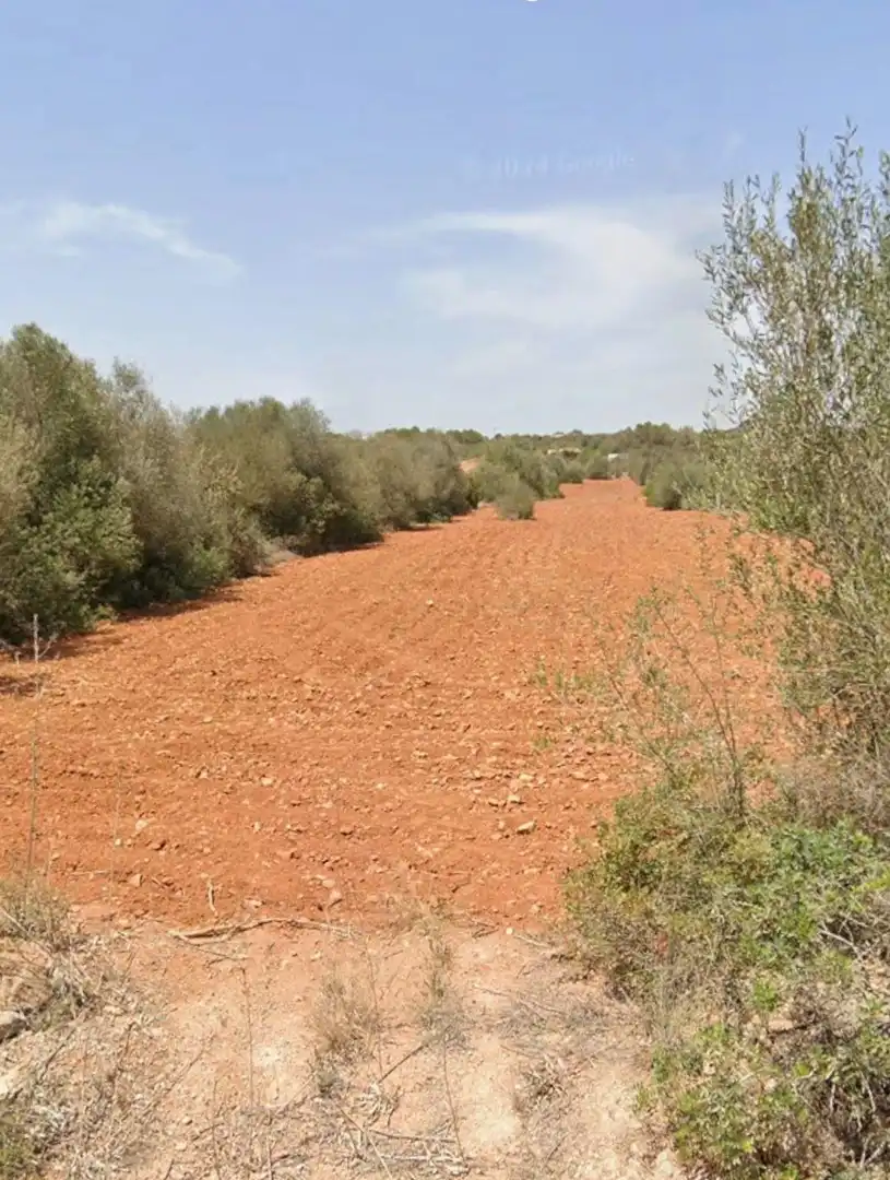Terreny residencial en venda a Ses Salines Poble, imagen 9