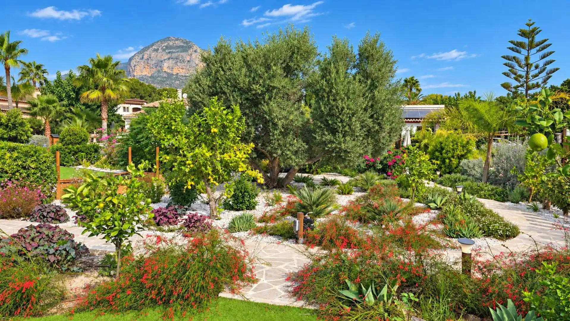 Jardín de Casa o chalet en venta en Centro ciudad