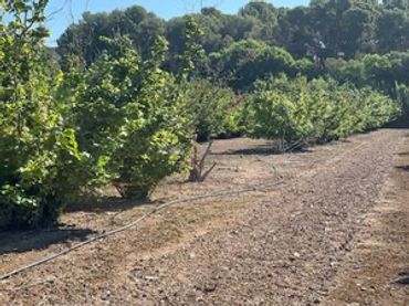 Rustikales Grundstück zum Verkauf in Avinguda de Reus 10