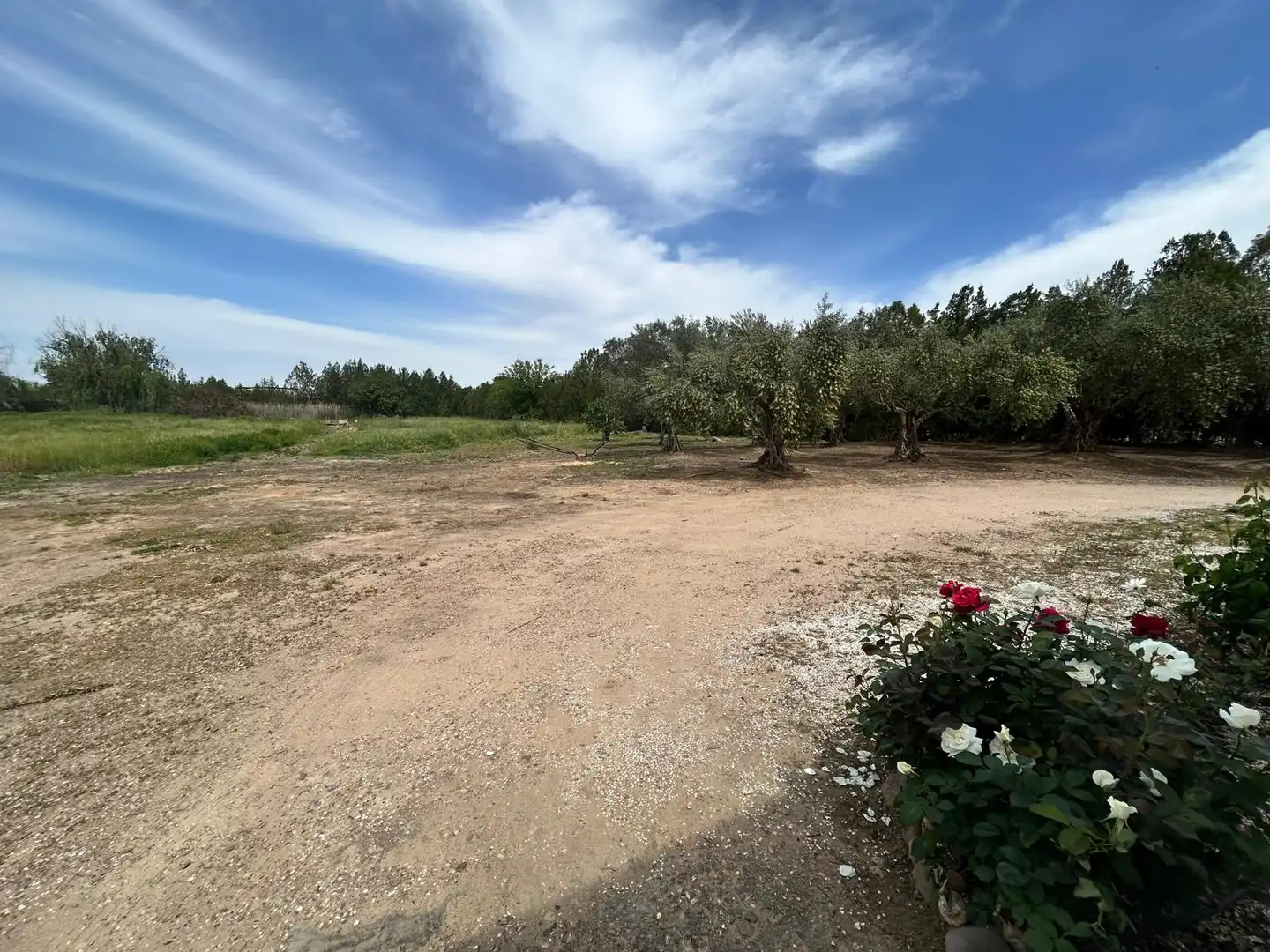Finca rústica en venda en Medellín amb Jardí privat, Terrassa i Traster