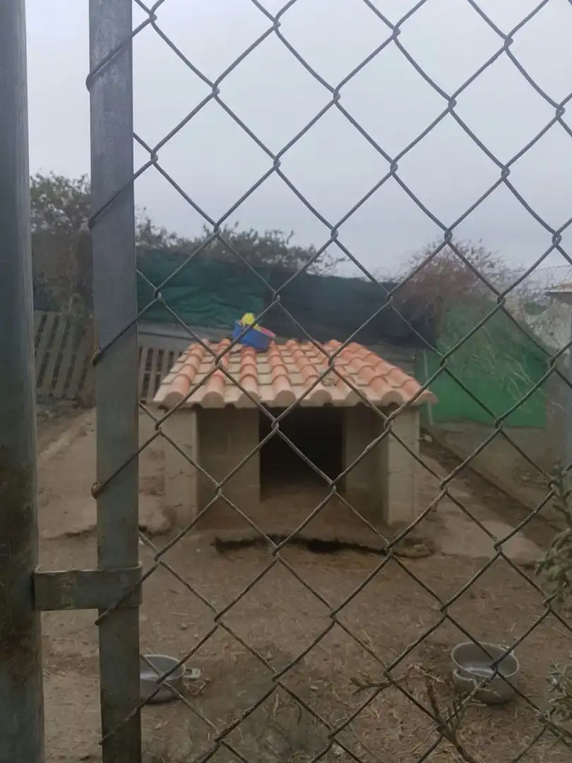 Terreni e lotti in vendita a Valdesalor - Rincón de Ballesteros, imagen 3