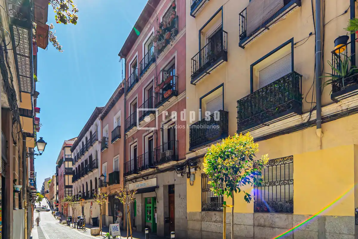 Exterior view of Study for rent in Madrid  with Air Conditioner, Parquet flooring and Terrace