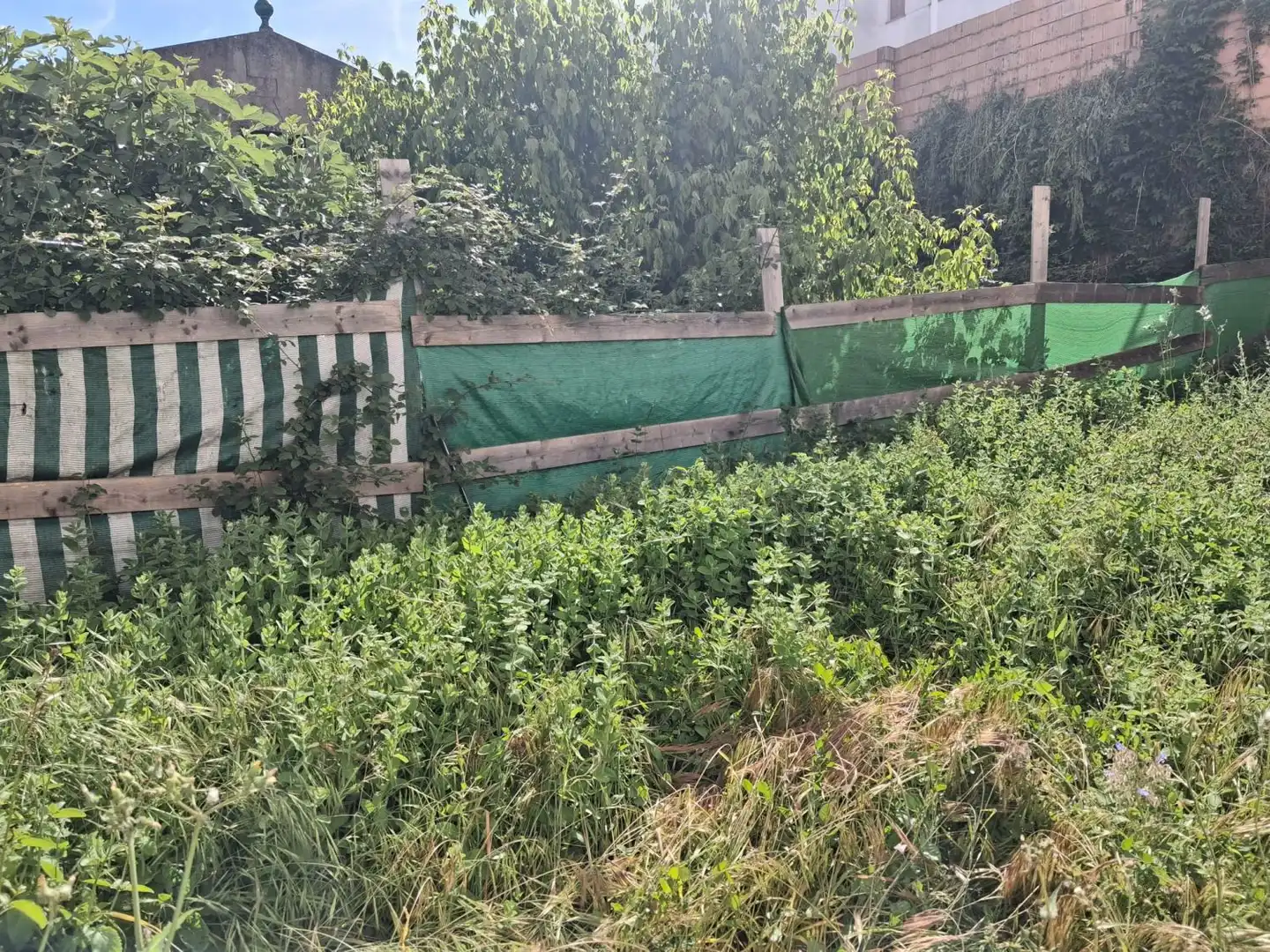 Grundstücke und Bauplätze zum Verkauf in Aracena, imagen 4