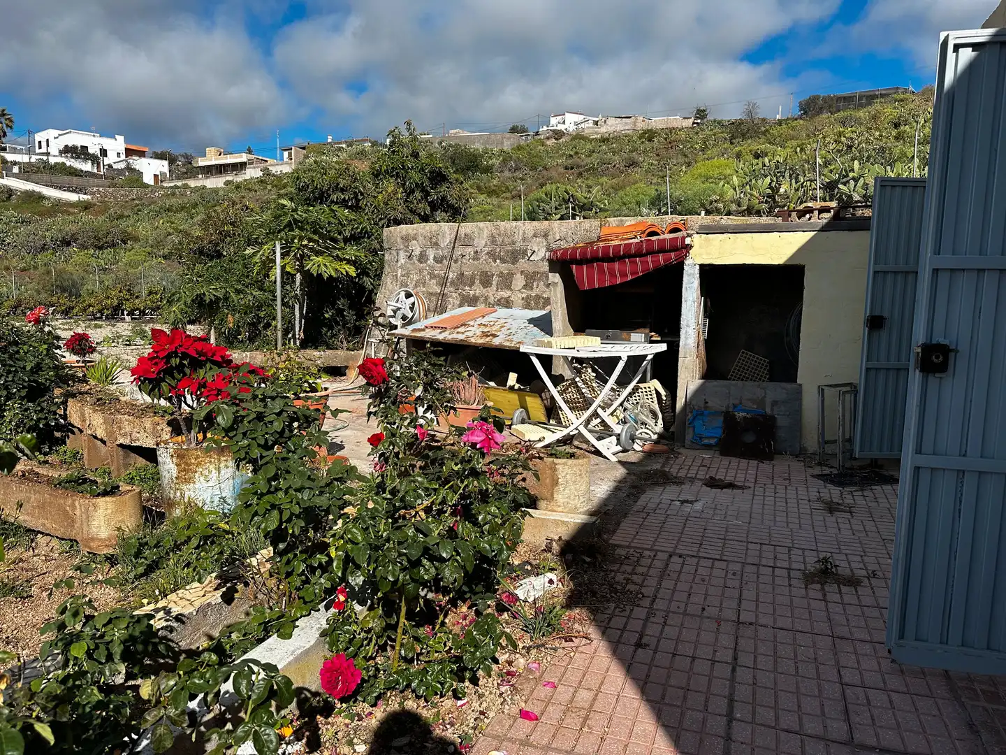 Terreny rústic en venda a Calle Virgen del Pino, imagen 16