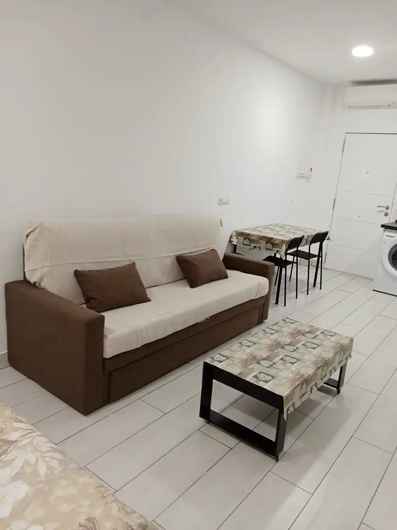 Sala de estar de Estudio de alquiler en Málaga con Amueblado