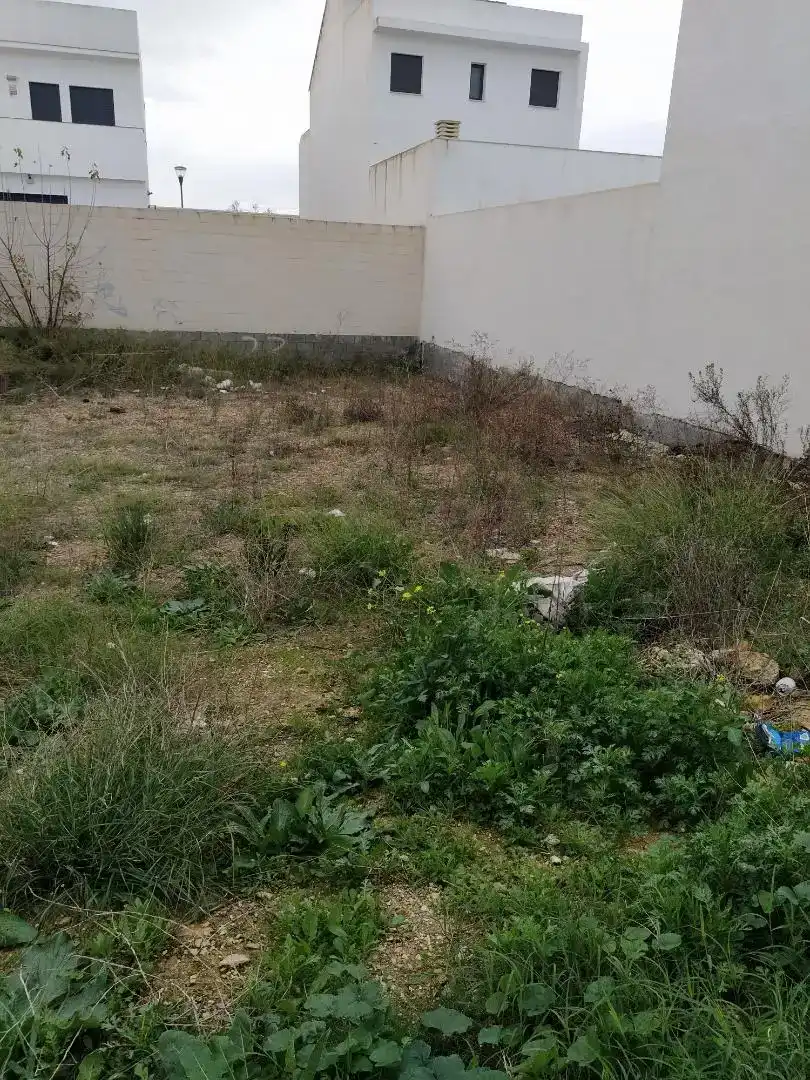 Finca rústica en venda en Alcalá de Guadaira