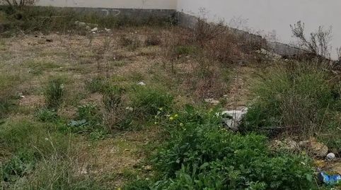 Foto 2 de Finca rústica en venda a Calle Cuarteron, 24, Los Molinos, Alcalá de Guadaira
