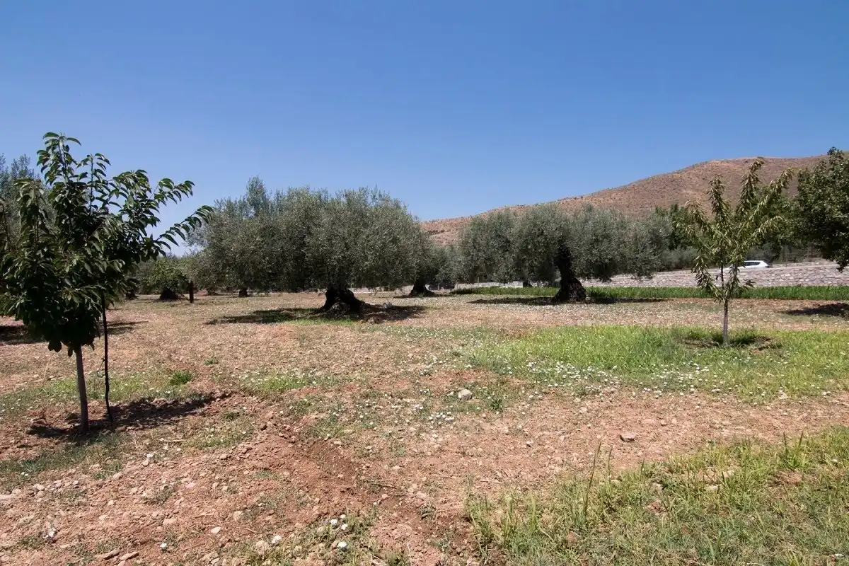 Finca rústica en venta en Güéjar Sierra con Jardín privado, Terraza y Piscina