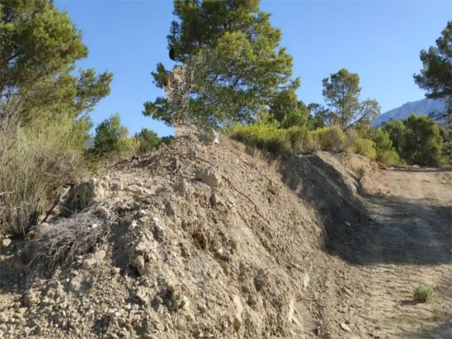 Terreno en venta en Busot