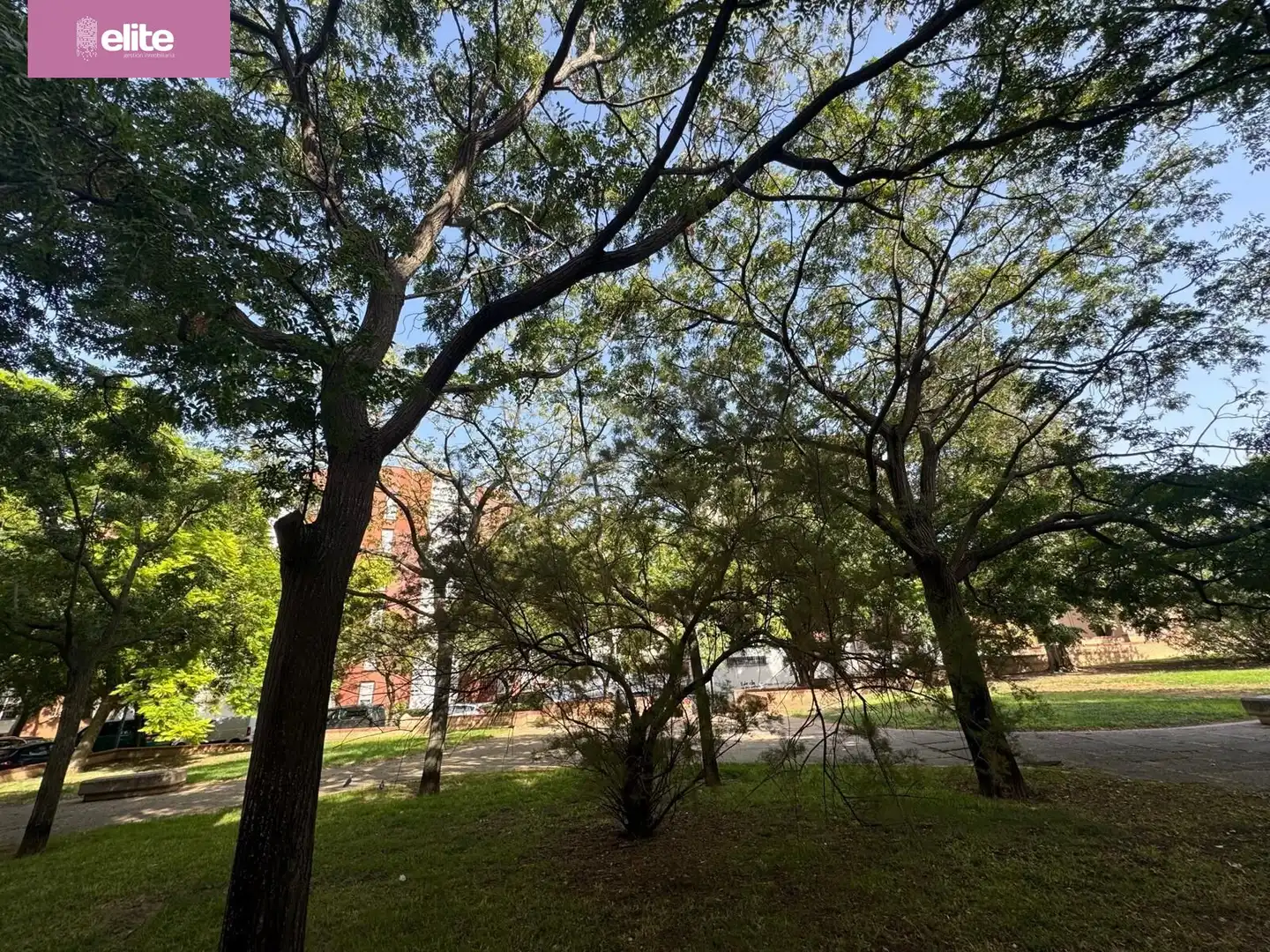 Pis amb ascensor en venda a El Retiro - Parque Atlántico - Ronda este, imagen 8