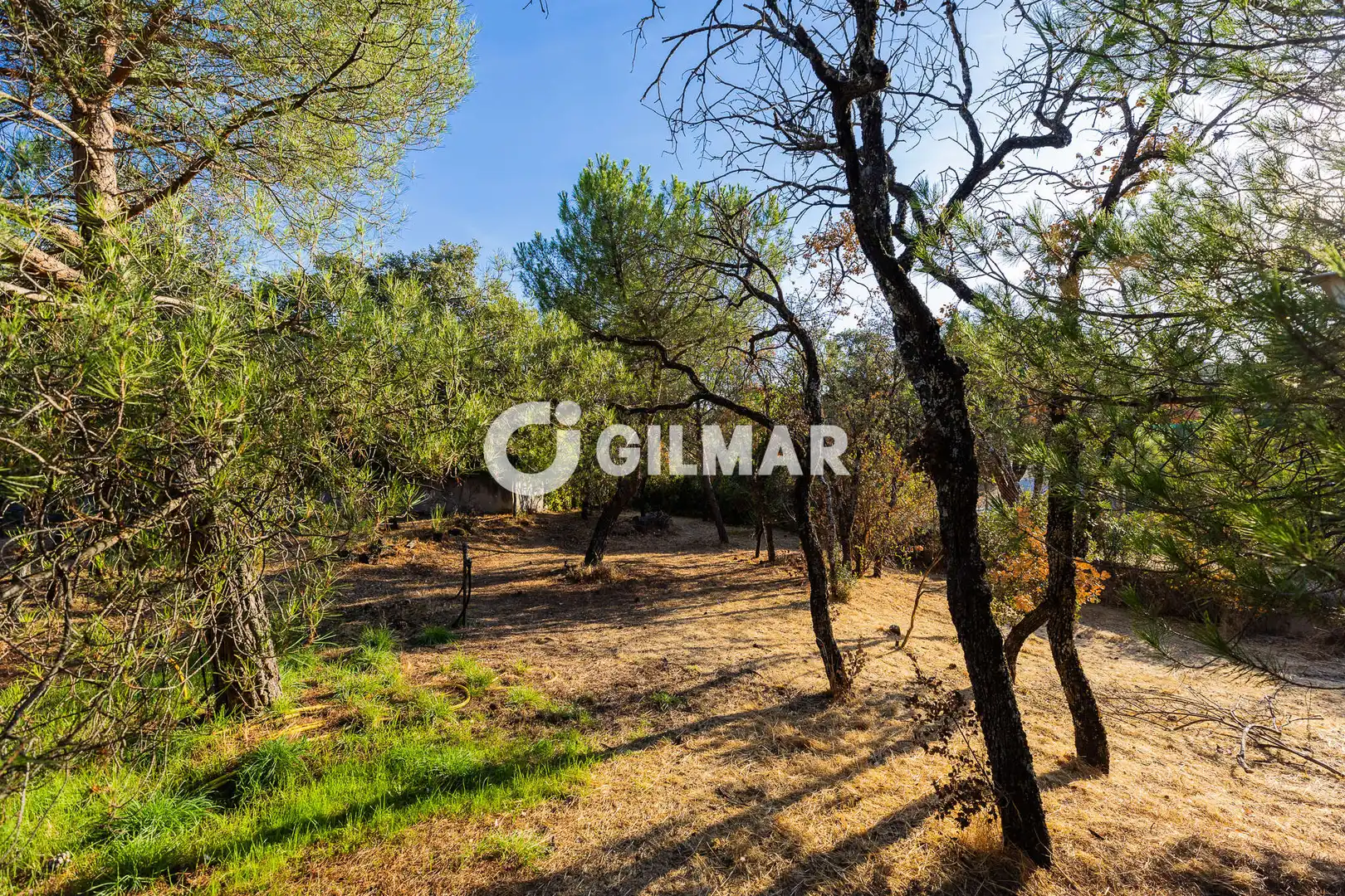 Terreny residencial en venda a Los Ángeles - Jarandilla, imagen 4