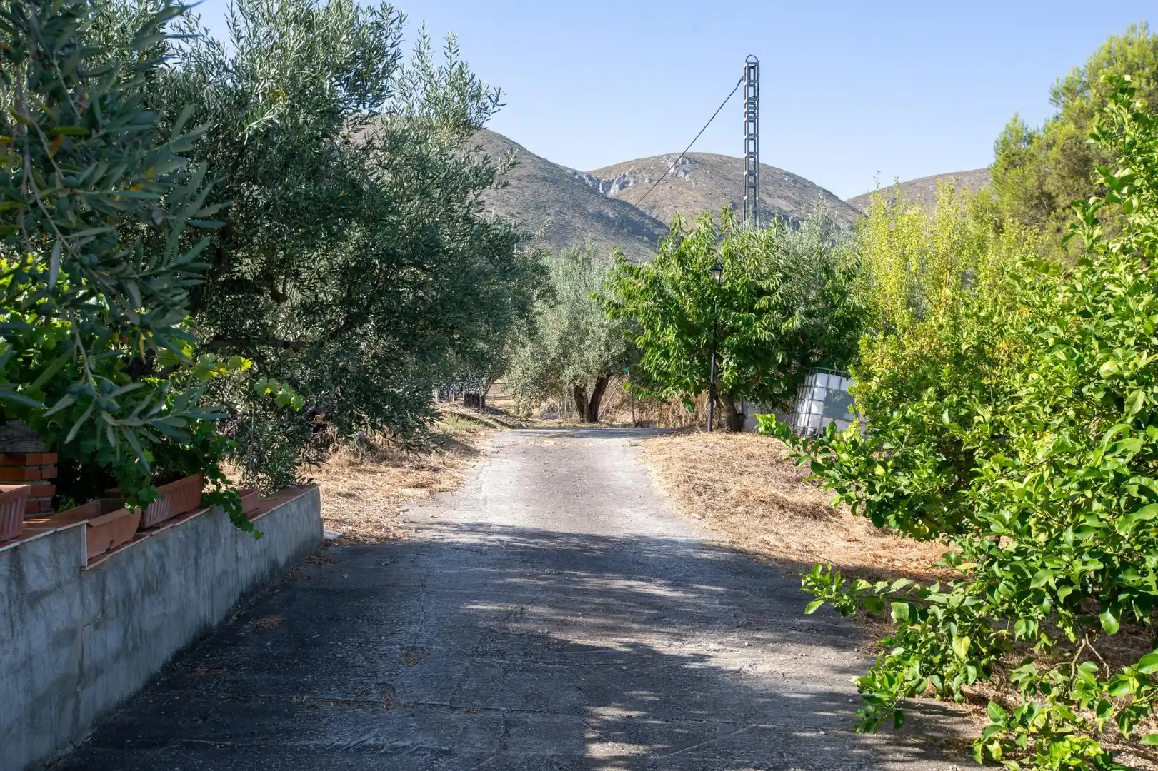 Vista exterior de Casa o xalet en venda en Almudaina amb Moblat