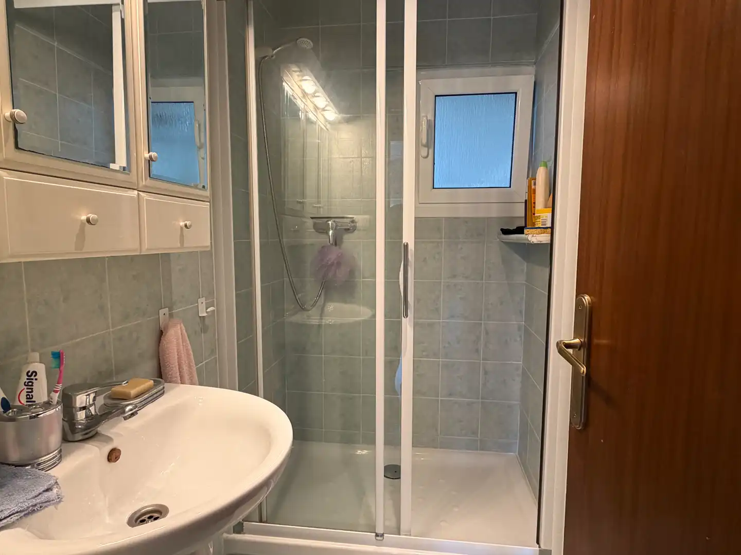 Baño de Piso en venta en Sant Cebrià de Vallalta con Terraza, Amueblado y Lavadora