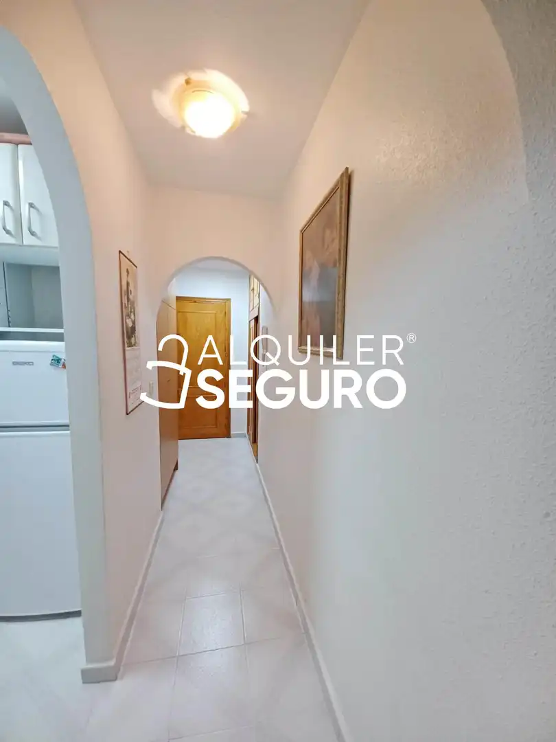 Estudi de lloguer en Torrevieja amb Aire condicionat, Calefacció i Terrassa
