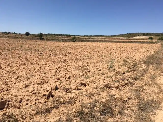 Terreno rustico in vendita a Almansa, imagen 2