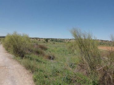 Terreno residenziale in vendita a Hinojosa del Duque