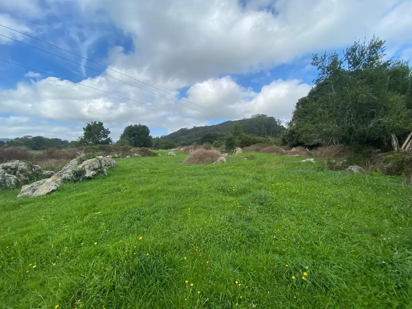 Finca rústica en venta en Argoños