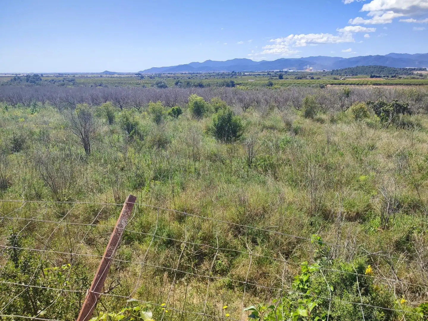 Rural land for sale in Onda