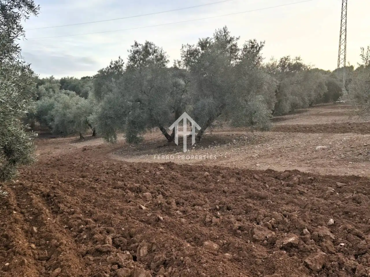 Terreny rústic en venda a Poligono ventorros de laguna 1, imagen 9