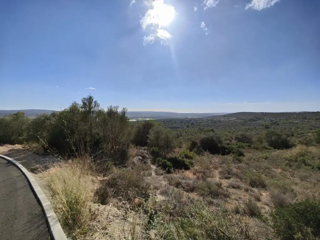 Terreny rústic en venda a Llevant, imagen 12