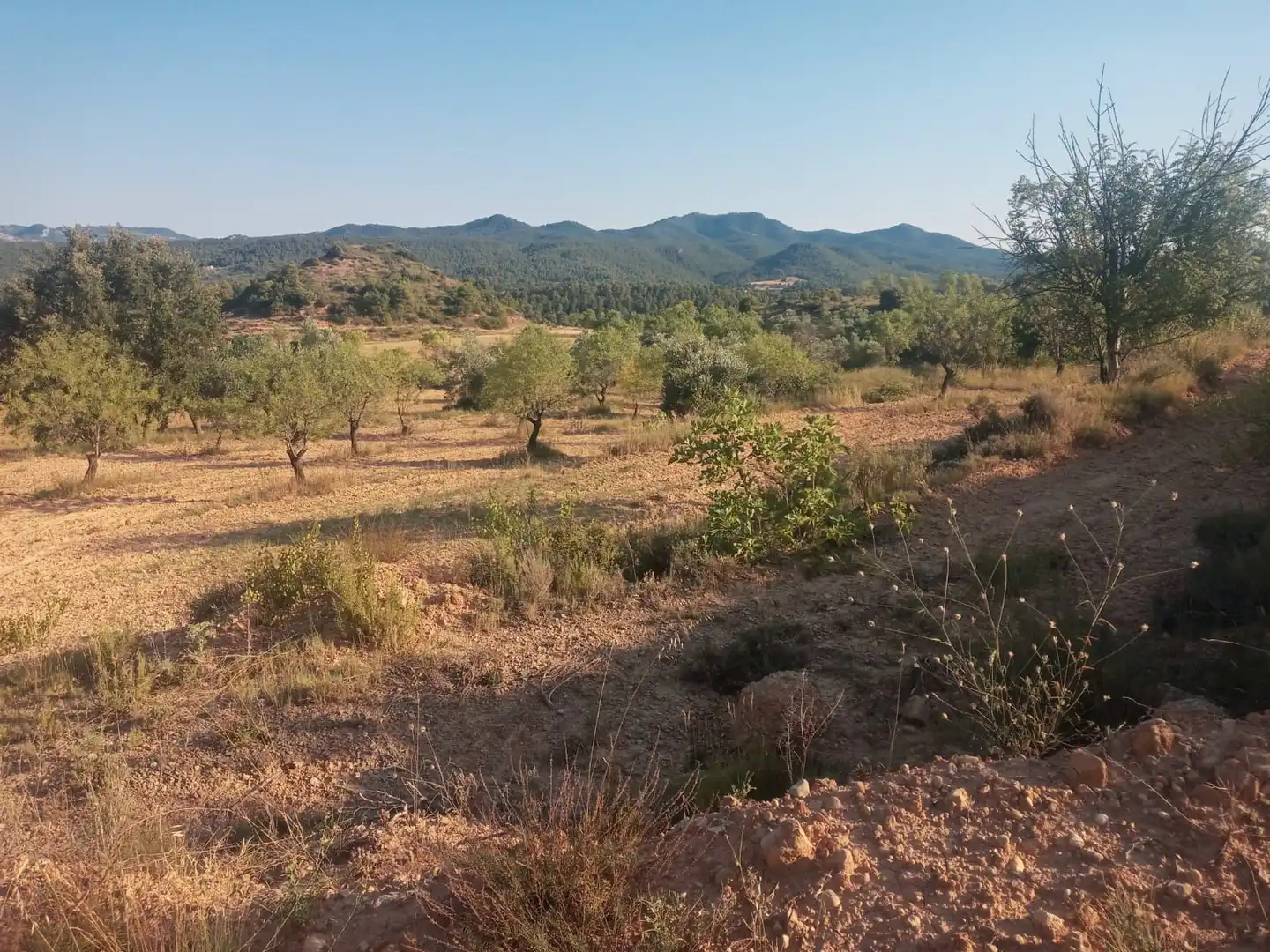 Terreni e lotti in vendita a Monroyo, imagen 6