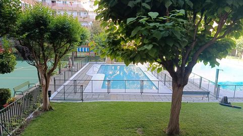 Foto 4 de Piso de alquiler en de las Fuerzas Armadas, Pajaritos, Granada Capital
