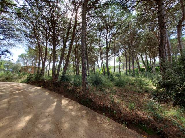 Terreno residencial en Venta en Urbanitzacio de Can Reixac de Solius en Golf Costa Brava