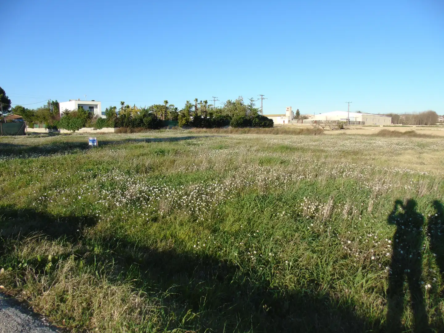 Terrenos y solares en venta en Las Torres de Cotillas, imagen 10