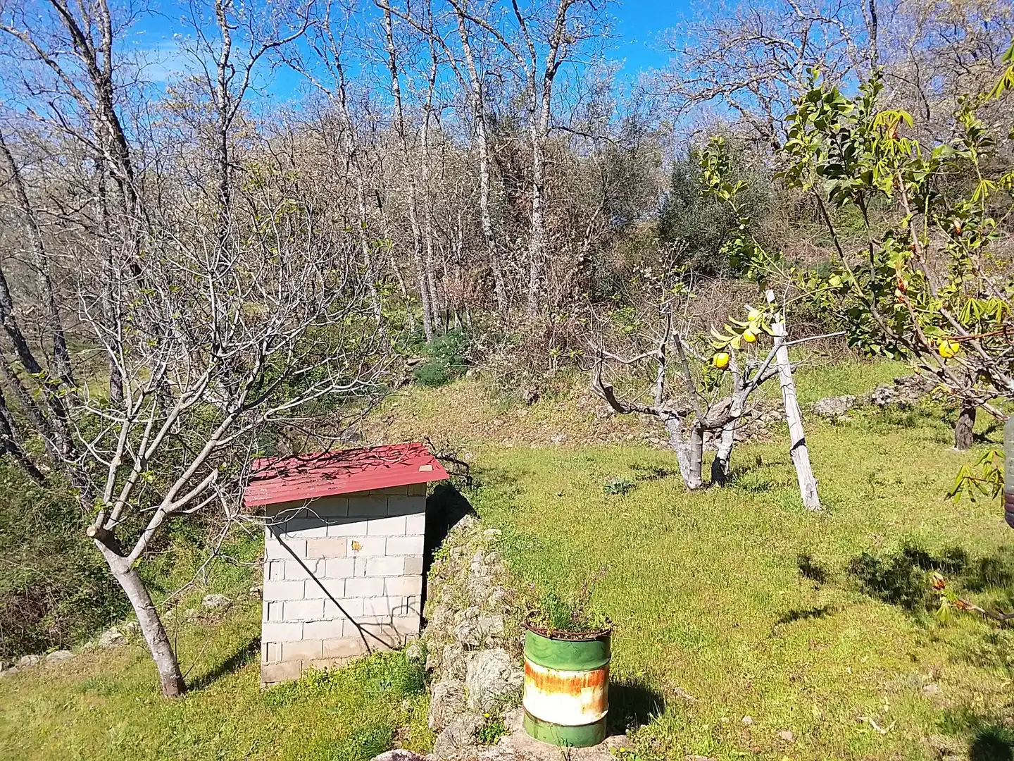 Terreni e lotti in vendita a Candeleda, imagen 46