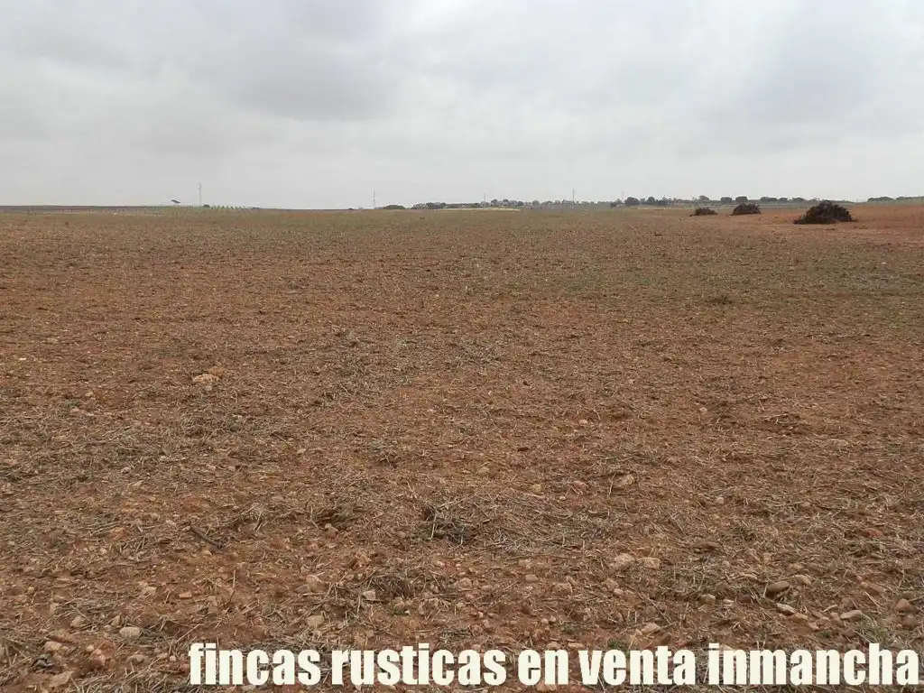 Terreno rustico in vendita a Alcázar de San Juan, imagen 15