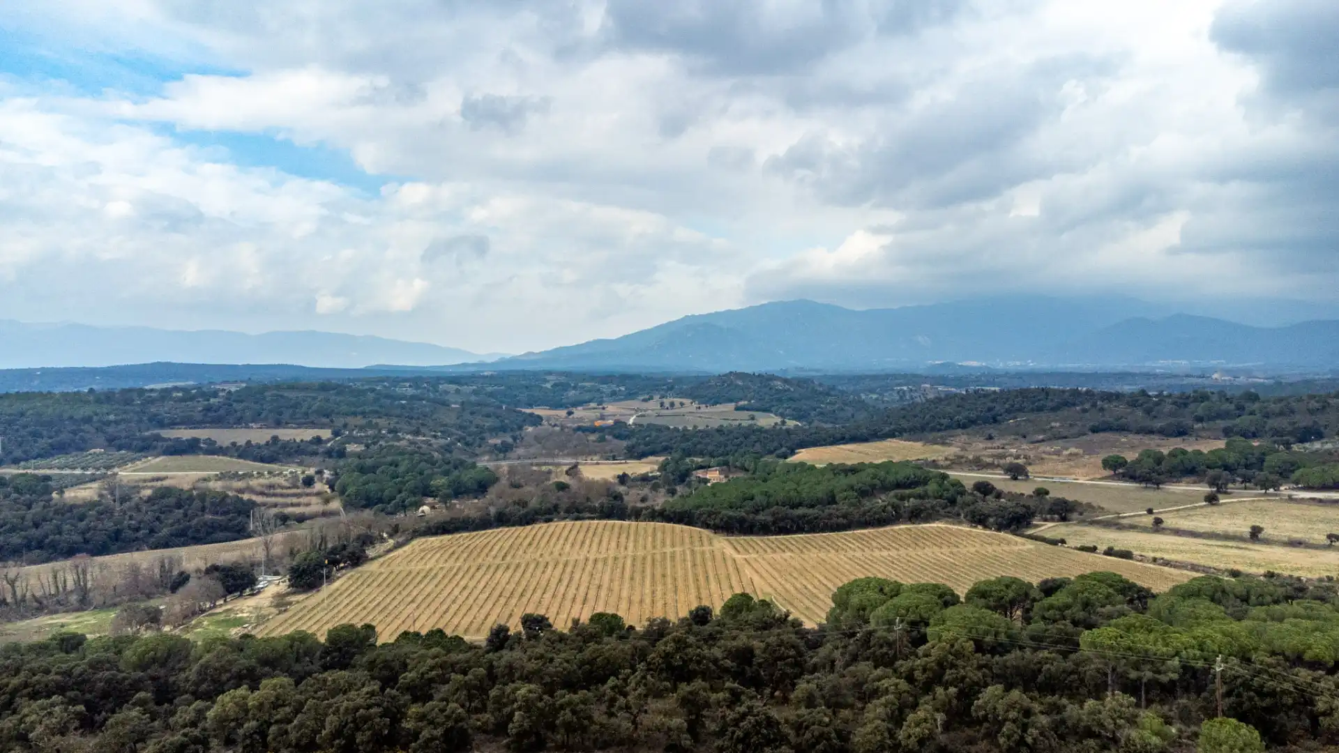 Residential land for sale in Capmany, imagen 22