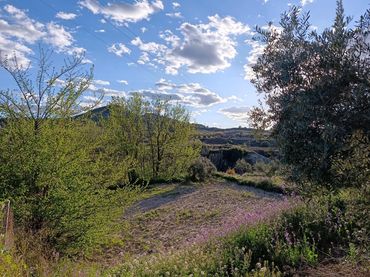 Terreno rústico en venta en Cehegín
