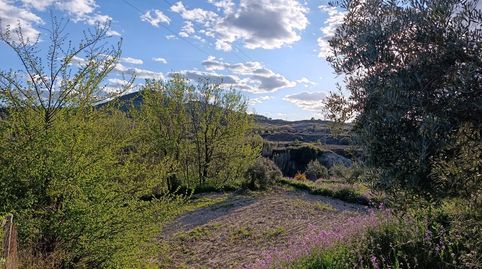 TERRENO DE TRES PARCELAS CON 3600 METROS