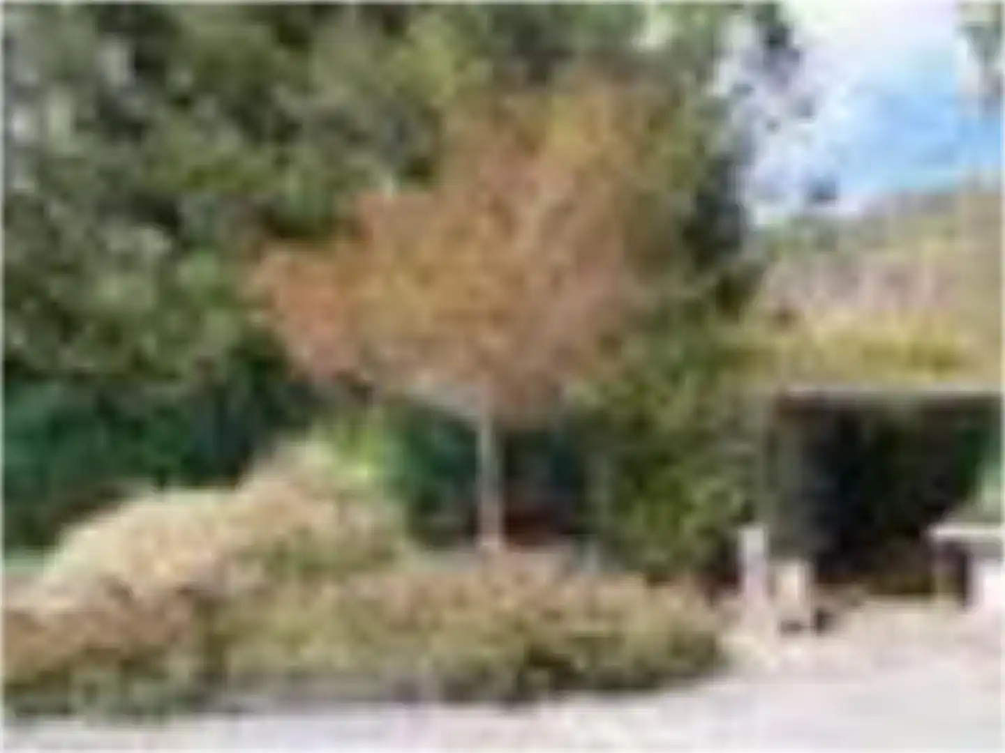 Finca rústica en venda en San Sadurniño amb Jardí privat