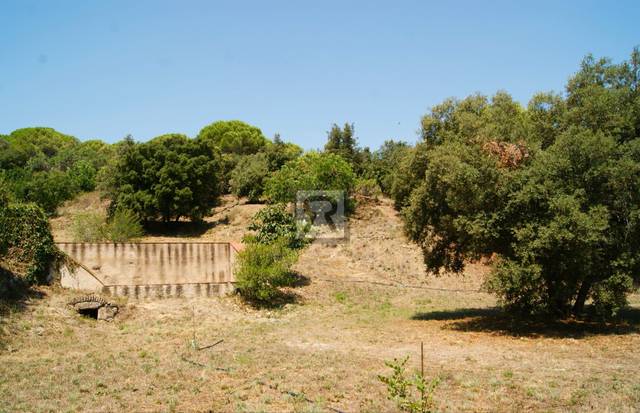 Terreno en Venta en Cami Vell S Pere, 12 en La Selva del Camp
