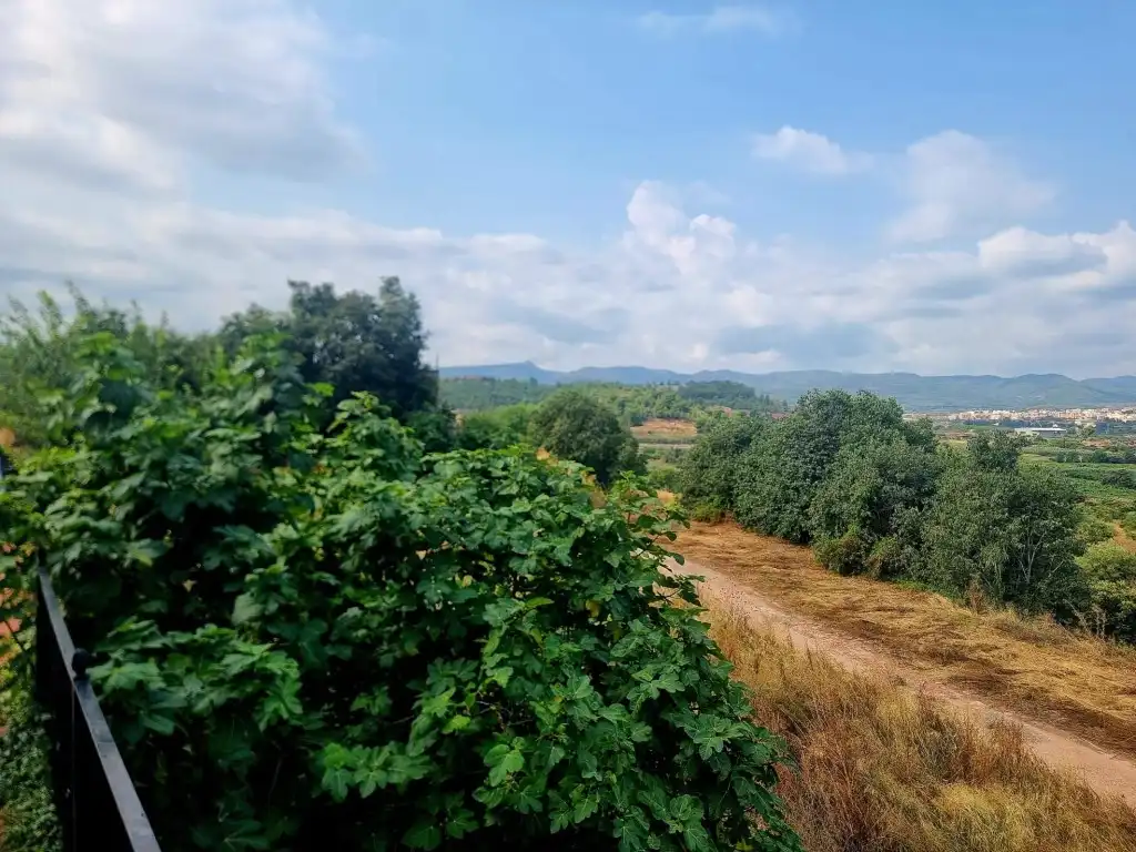 Casa o xalet en venda a Castellnovo