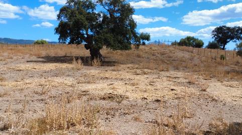 Foto 3 de Terreno en venta en Calle Manuel de Falla, 28, Prado del Rey, Cádiz