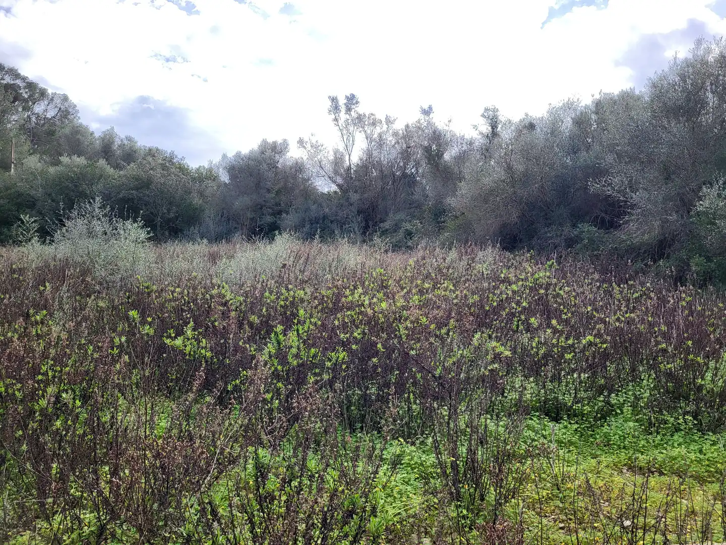 Terreni e lotti in vendita a Sant Joan, imagen 20