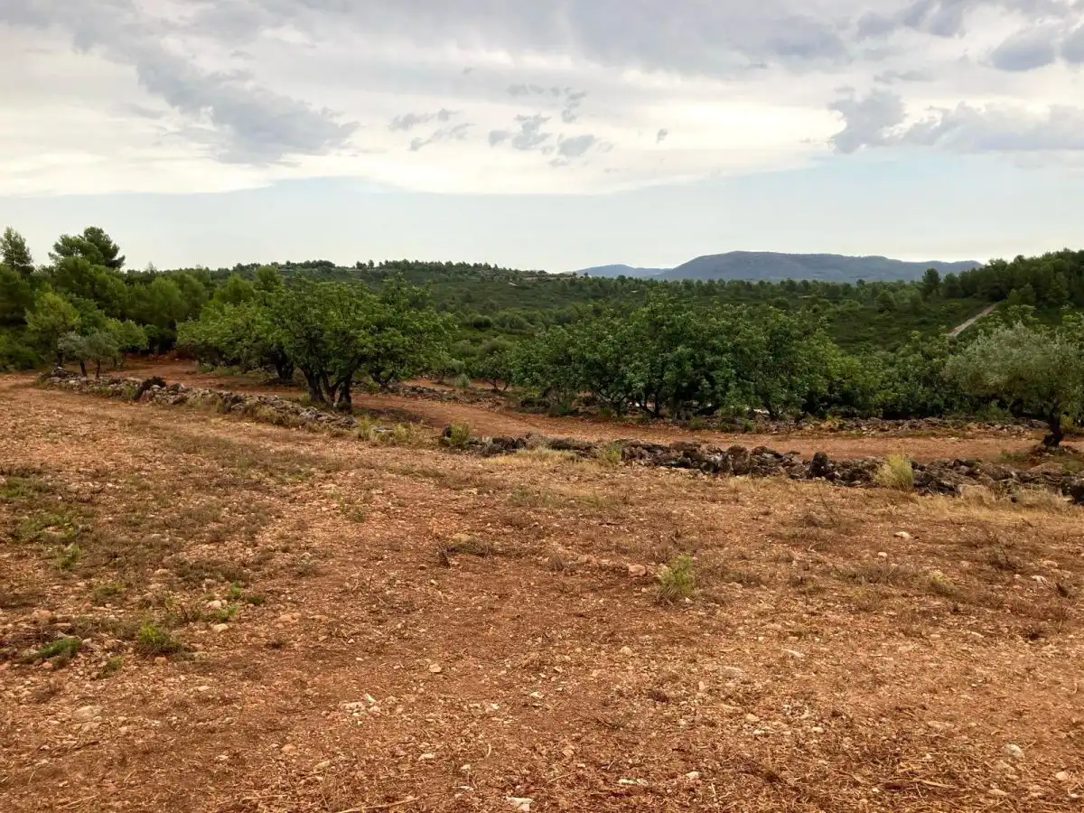 Residencial en venda en Vilafamés