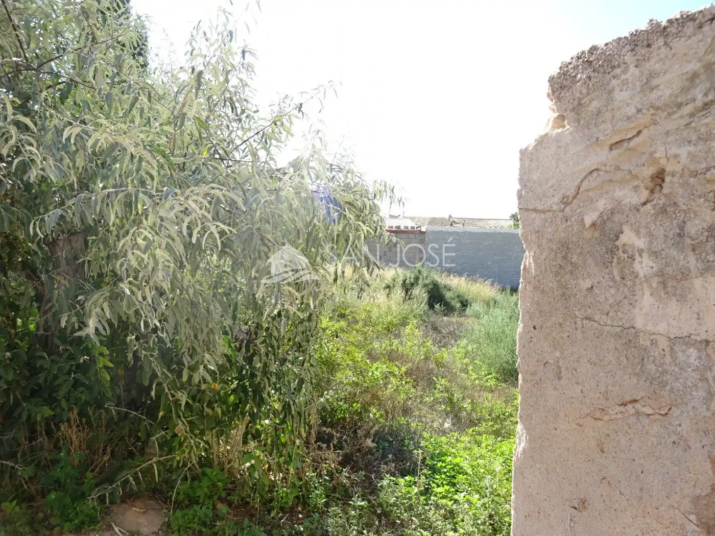 Casa rústica con jardín en venta en Hondón de las Nieves / El Fondó de les Neus, imagen 21