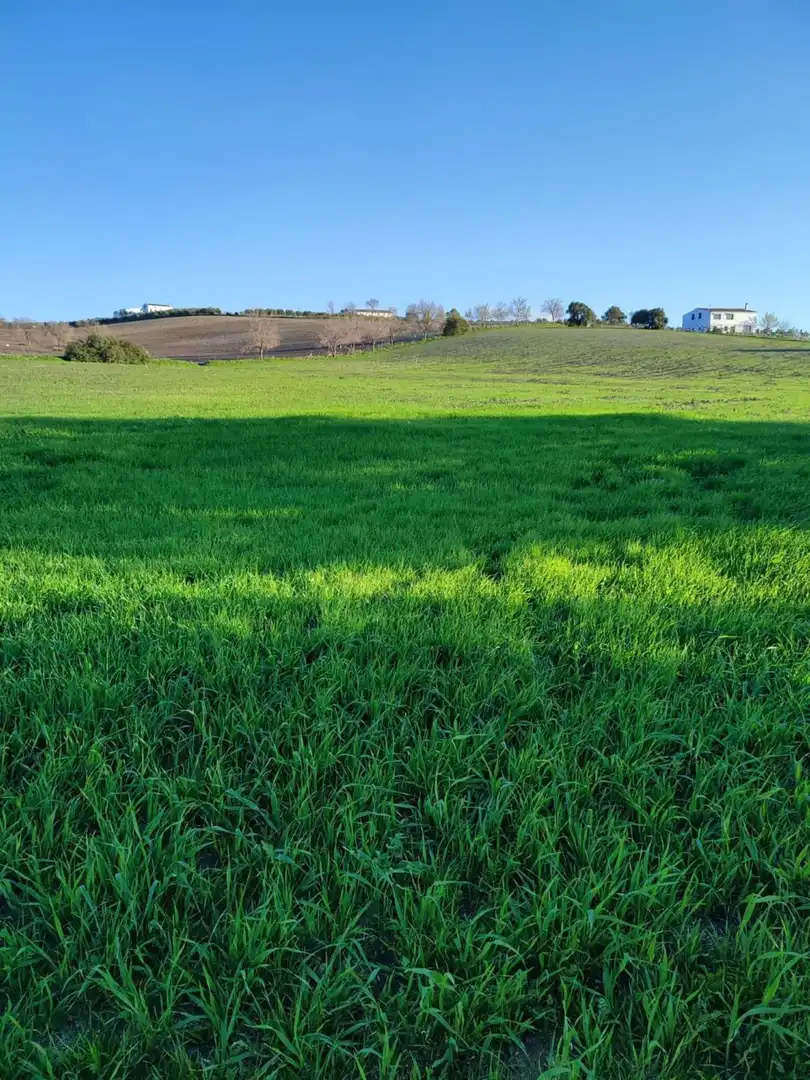 Terreno residencial en venta en Arcos de la Frontera, imagen 3