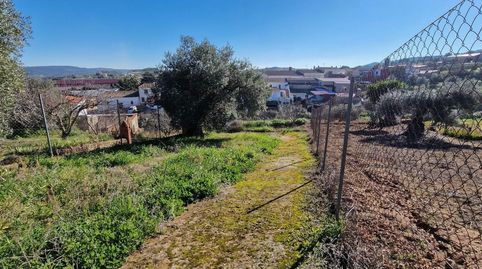 Foto 2 de Finca rústica en venta en Calle Jerez, Salvatierra de los Barros, Badajoz