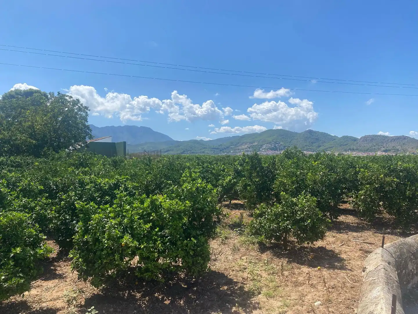 Casa o chalet en venta en Beniarjó con Jardín privado, Terraza y Piscina