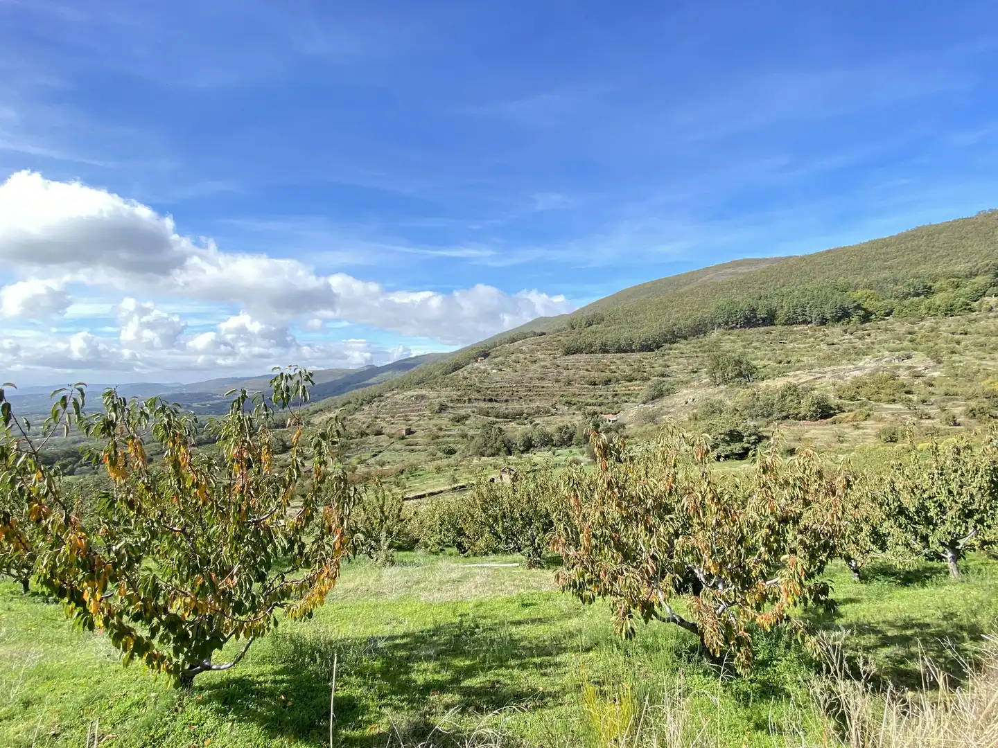 Terreni e lotti in vendita a Barrado, imagen 31