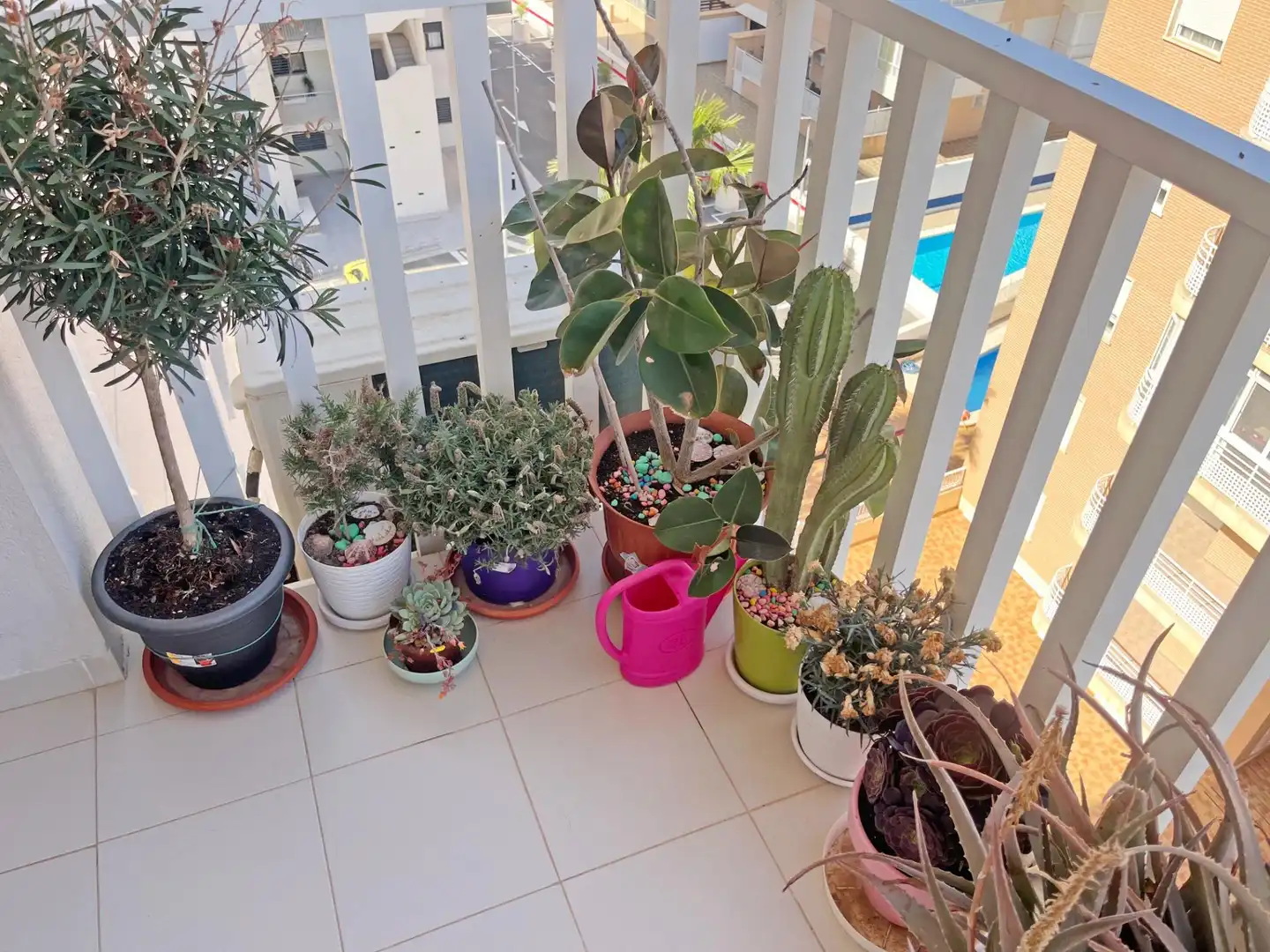 Apartament amb piscina en venda a Calle Calle Ingeniero Juan García, imagen 18