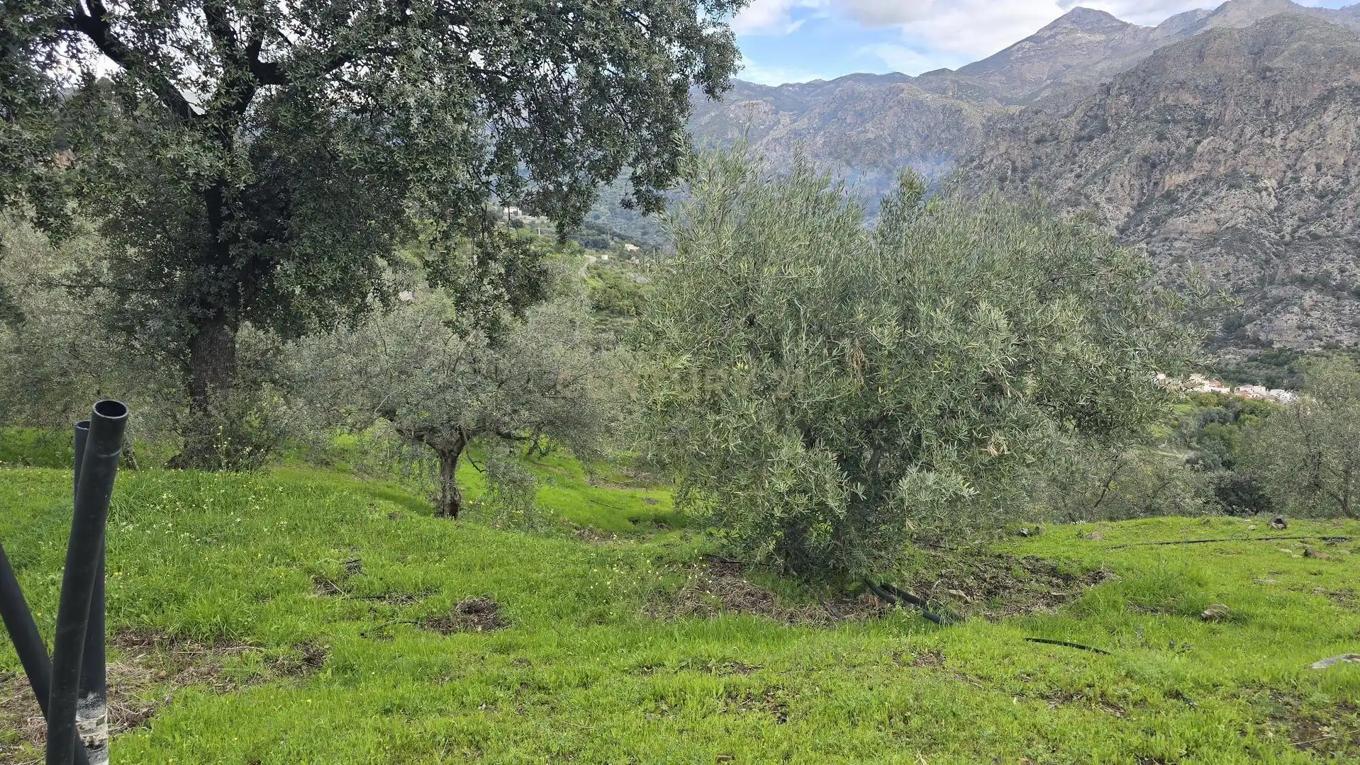 Terreno rustico in vendita a Polígono 11 Parcela 96 EL CERRILLAR. LOS GUAJARES (GRANADA), imagen 10