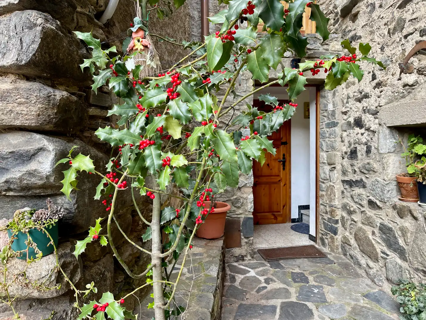 Finca rústica en venta en Setcases con Calefacción, Amueblado y Horno