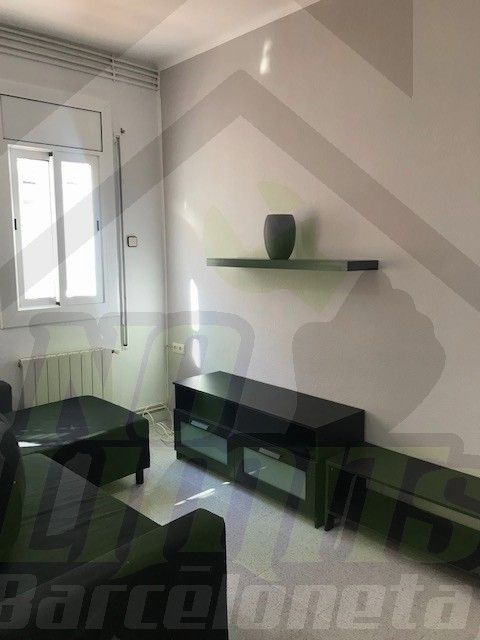 Living room of Flat to rent in  Barcelona Capital  with Heating, Furnished and Oven