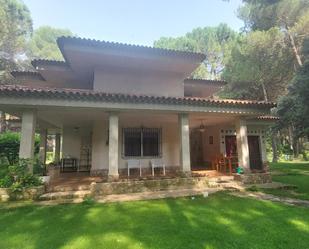 Jardí de Casa o xalet de lloguer en  Albacete Capital amb Terrassa, Piscina i Balcó